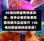  SG电玩网金刚铁球资源：新手必看的免费获取攻略与实战技巧（SG电玩网金刚铁球资源） 第1张