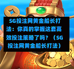  SG投注网黄金船长打法：你真的掌握这套高效投注策略了吗？（SG投注网黄金船长打法） 第1张