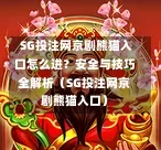  SG投注网京剧熊猫入口怎么进？安全与技巧全解析（SG投注网京剧熊猫入口） 第1张